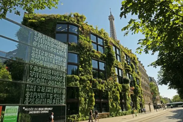 Mur végétal du musée du quai Branly, tour Eiffel en fond